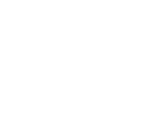 TDWI